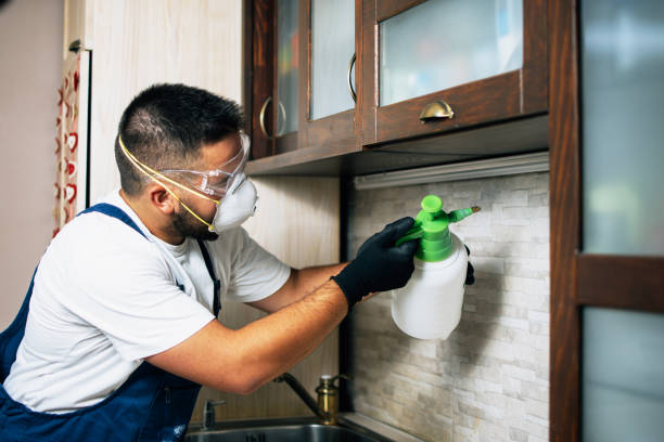 Best Exterminator Services  in Saks, AL