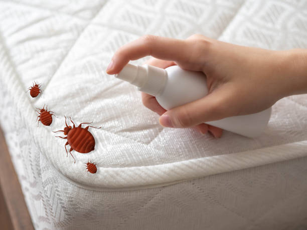 Best Wasp Removal Services  in Saks, AL